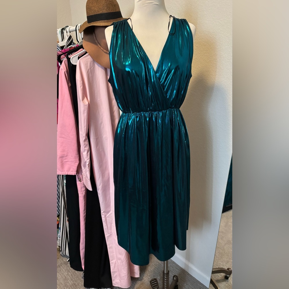 Zara dress NWOT